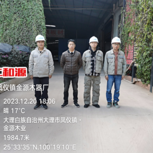 大理市凤仪金源木器厂职业危害现状评价