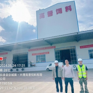 大理高普饲料有限公司职业病危害检测评价