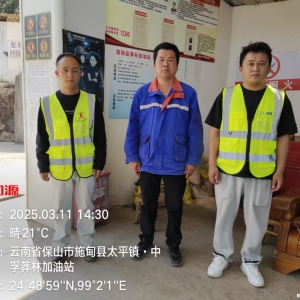 施甸县莽林加油站职业危害检测与评价