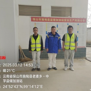 施甸县益储加油站职业危害检测与评价
