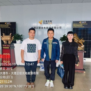 大理正信光电能源有限公司定期检测