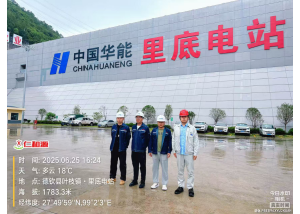 华能澜沧江水电股份有限公司乌弄龙.里底水电厂里底电站职业病危害因素定期检查 ...