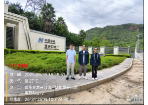 华能龙开口水电有限公司职业病危害因素定期检测