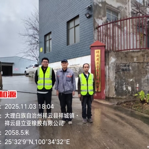 祥云县立亚橡胶有限公司职业病危害因素定期检测