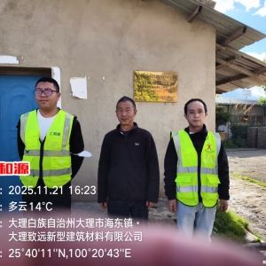 大理致远新型建筑材料有限公司2025年度职业病危害因素定期检测 ...