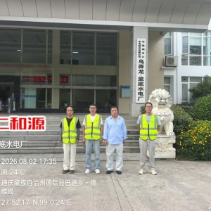 华能澜沧江股份有限公司乌弄龙.里底水电厂乌弄龙电站2026年度职业病危害因素定期检测 ...